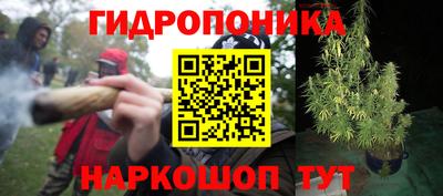 прущая мука Сланцы