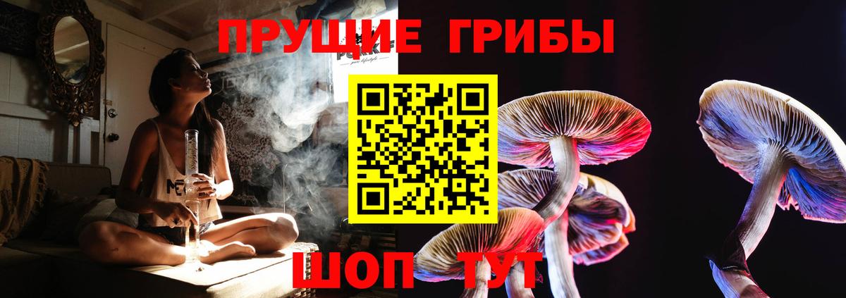 Псилоцибиновые грибы Magic Shrooms  Вход с VPN  сколько стоит  Асбест 